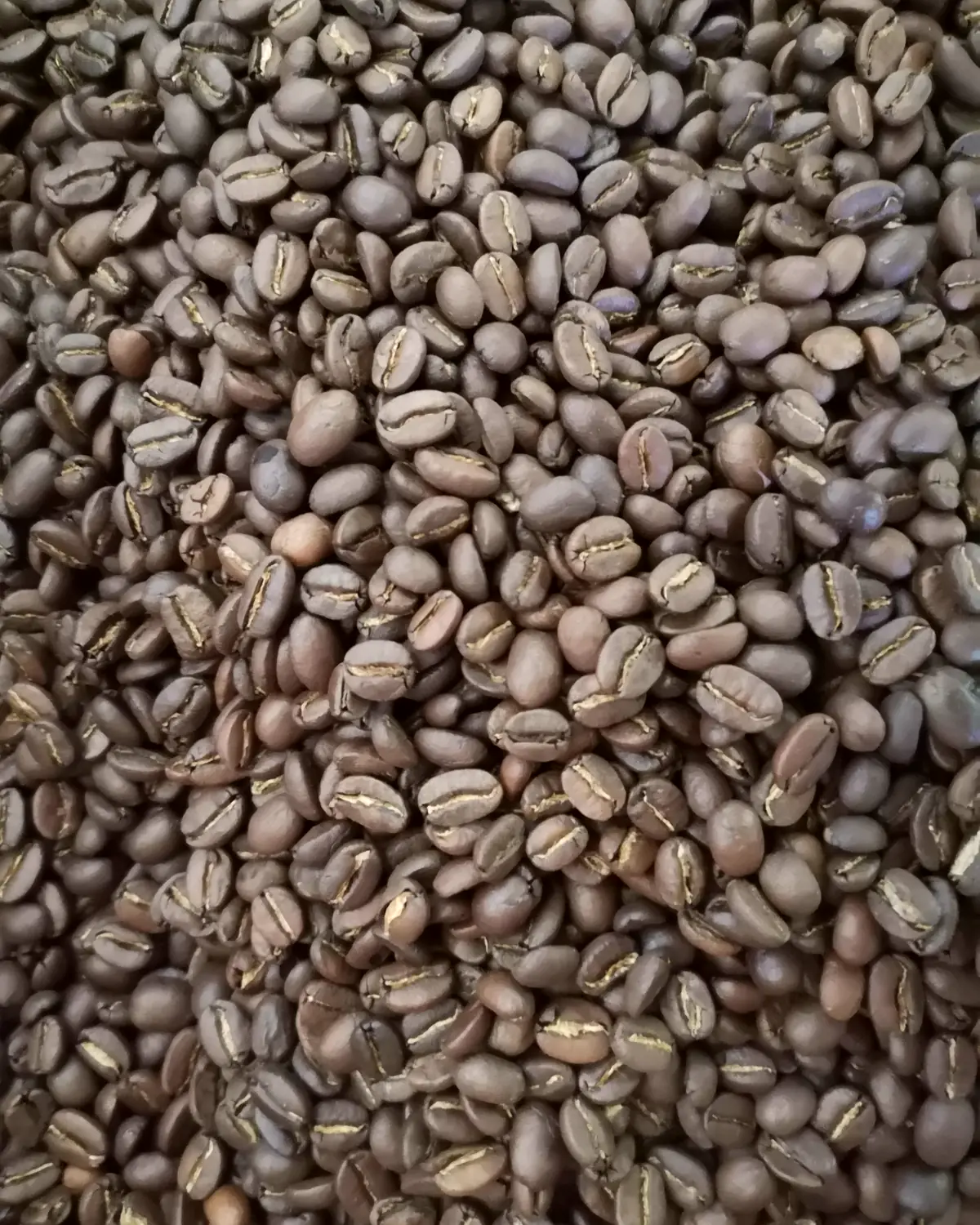 A close, filled frame of roasted coffee beans.